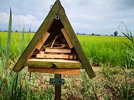 Insect Hotel Opened