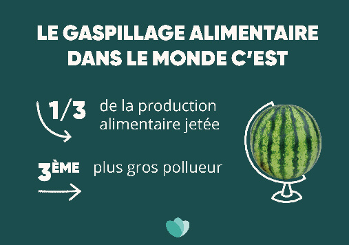 Le Gaspillage Alimentaire Dans Le Monde Cest